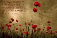 /album/think-positive-info/rumi-6-jpg/